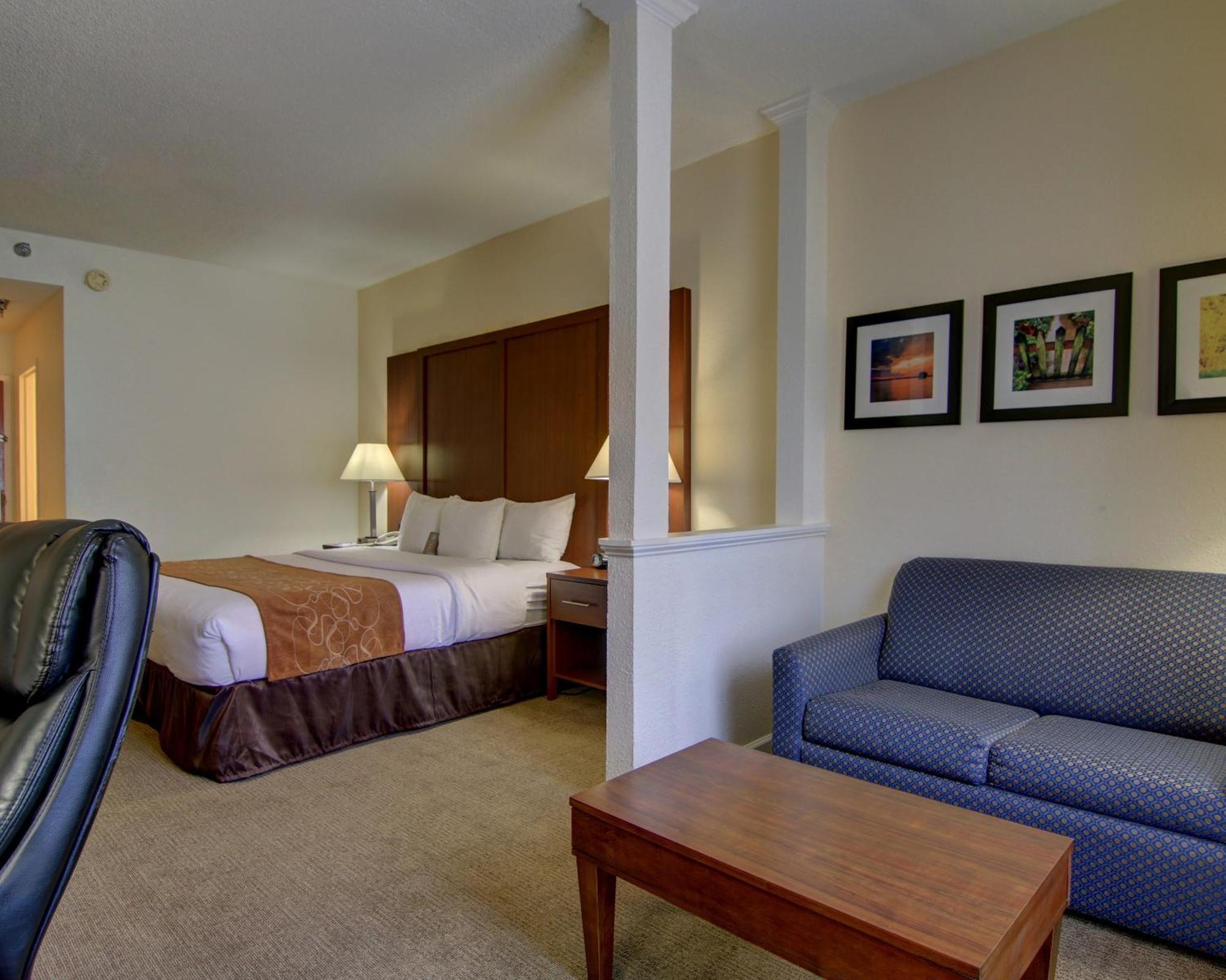 Comfort Suites Cumming-Atlanta Near Northside Hospital Forsyth Rum bild
